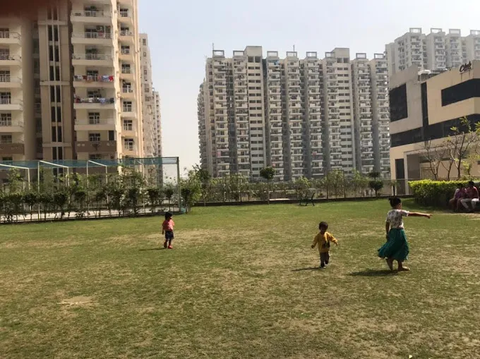 Children playing on the lawn